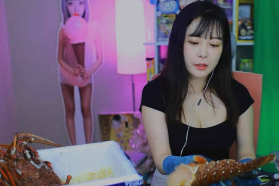 Twitch Streamer Sae Was Scared of Lobster