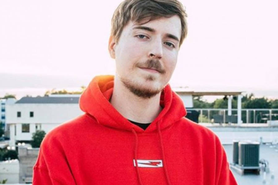 Minecraft Streamers Want to Join MrBeast’s Real-Life Squid Game